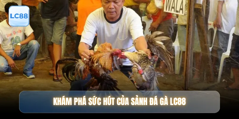 Khám phá sức hút của sảnh đá gà LC88
